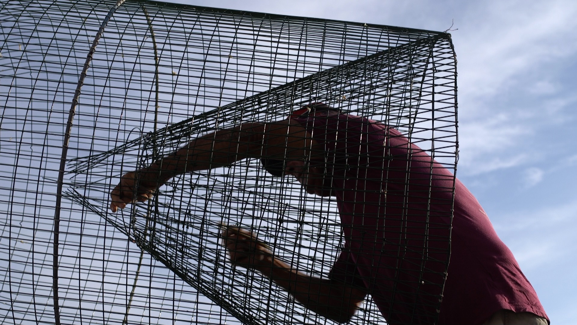 Man leaning into net, promotional image for A Visibility Matrix by Sven Anderson & Gerard Byrne, at Void Gallery, 2019