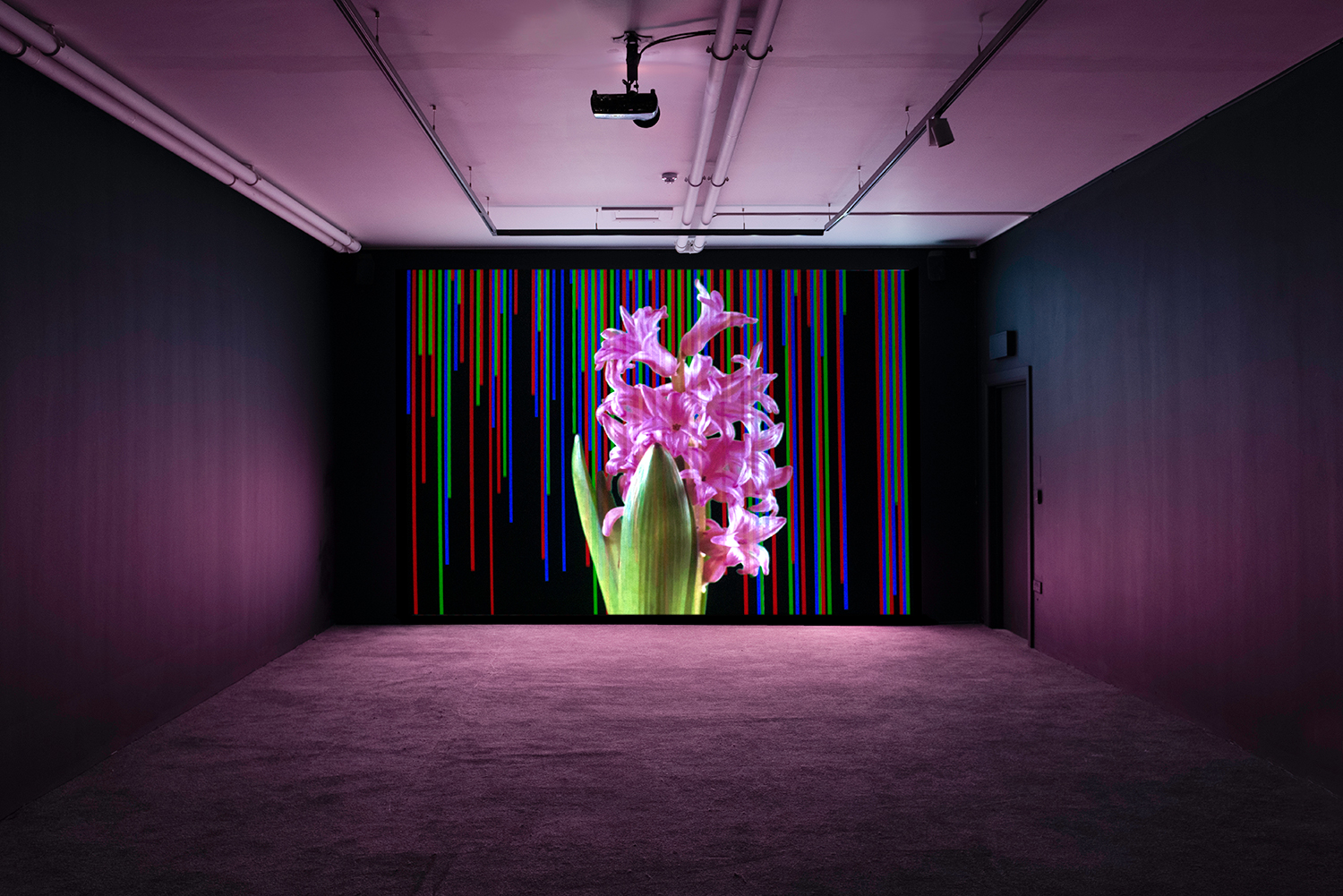 Void Seekers image suggestion - hyacinths remind the artist of past memories