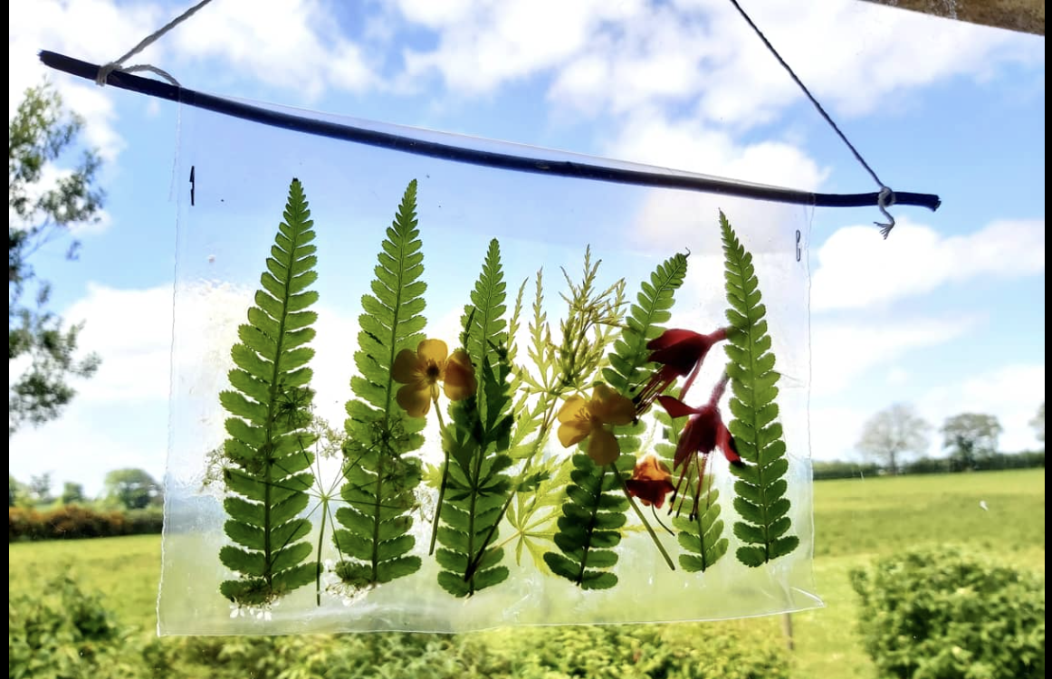 Nature sun catcher image