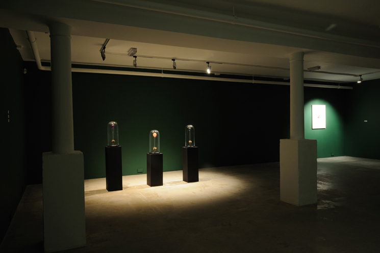 Polly Morgan Void Gallery exhibition photos