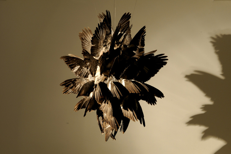 Polly Morgan Void Gallery exhibition photos