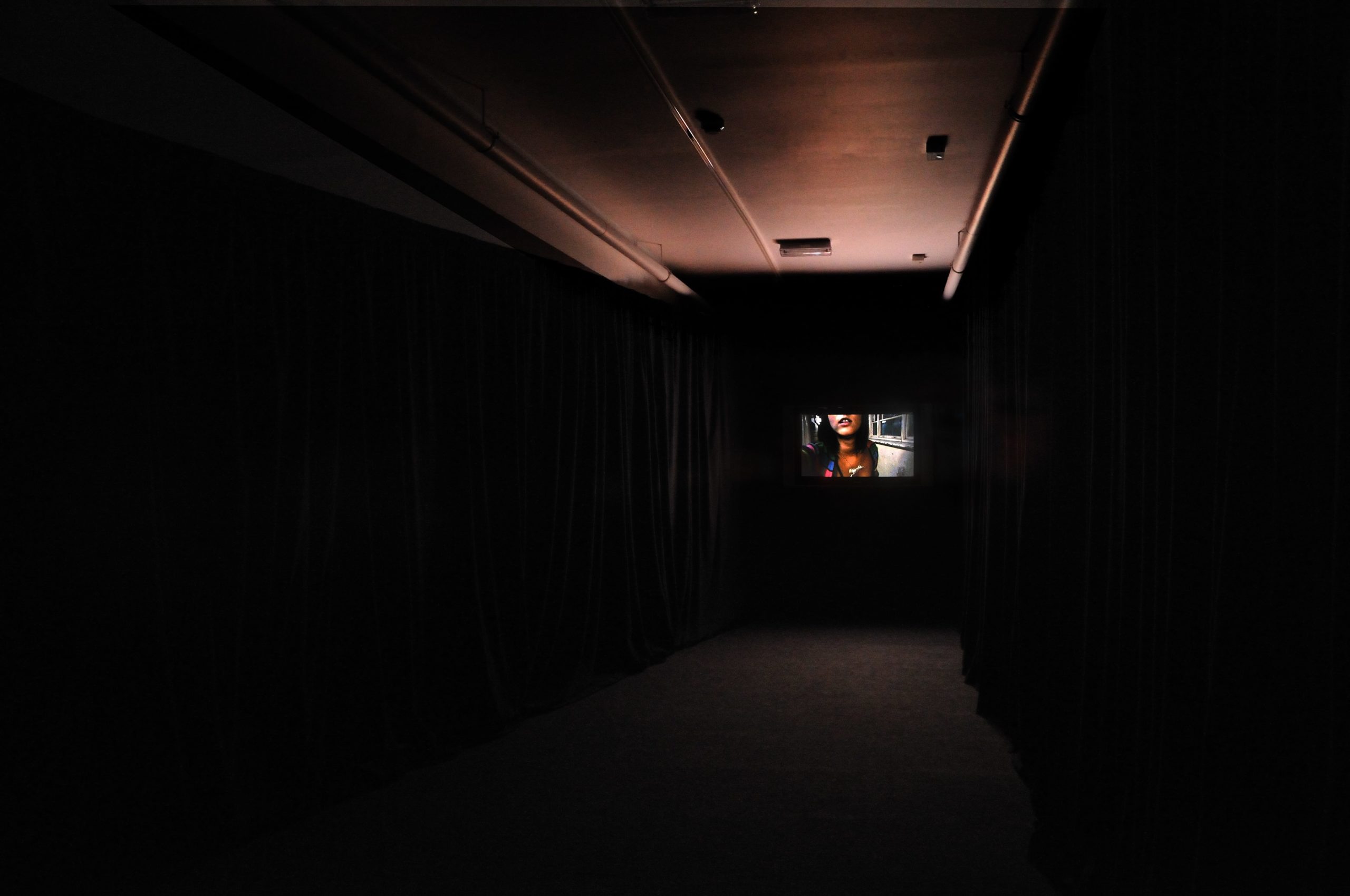 Iain Forsythe and Jane Polland at Void Gallery