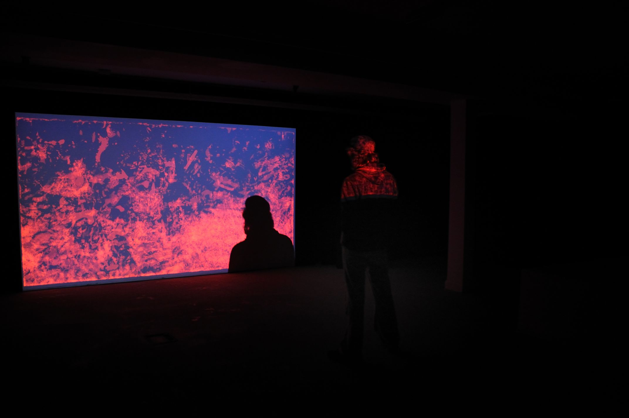 C. Langan, P. Rowley & D. Phillips at Void Gallery