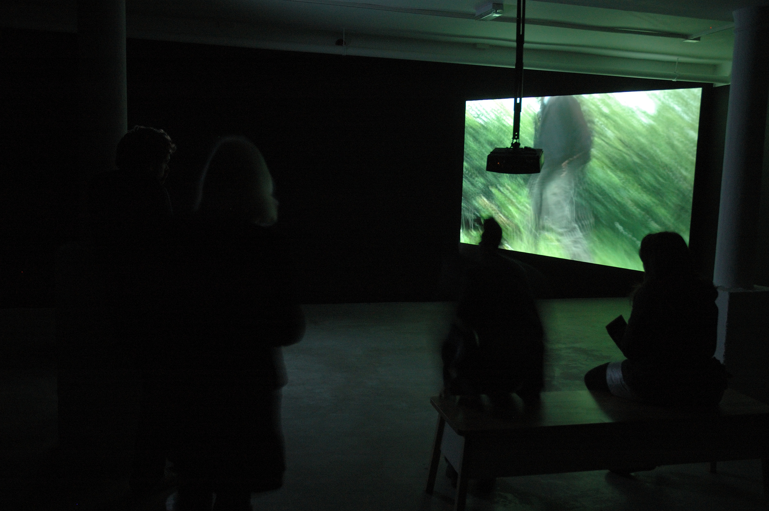 Install photo of Daniel Jewesbury at Void Gallery