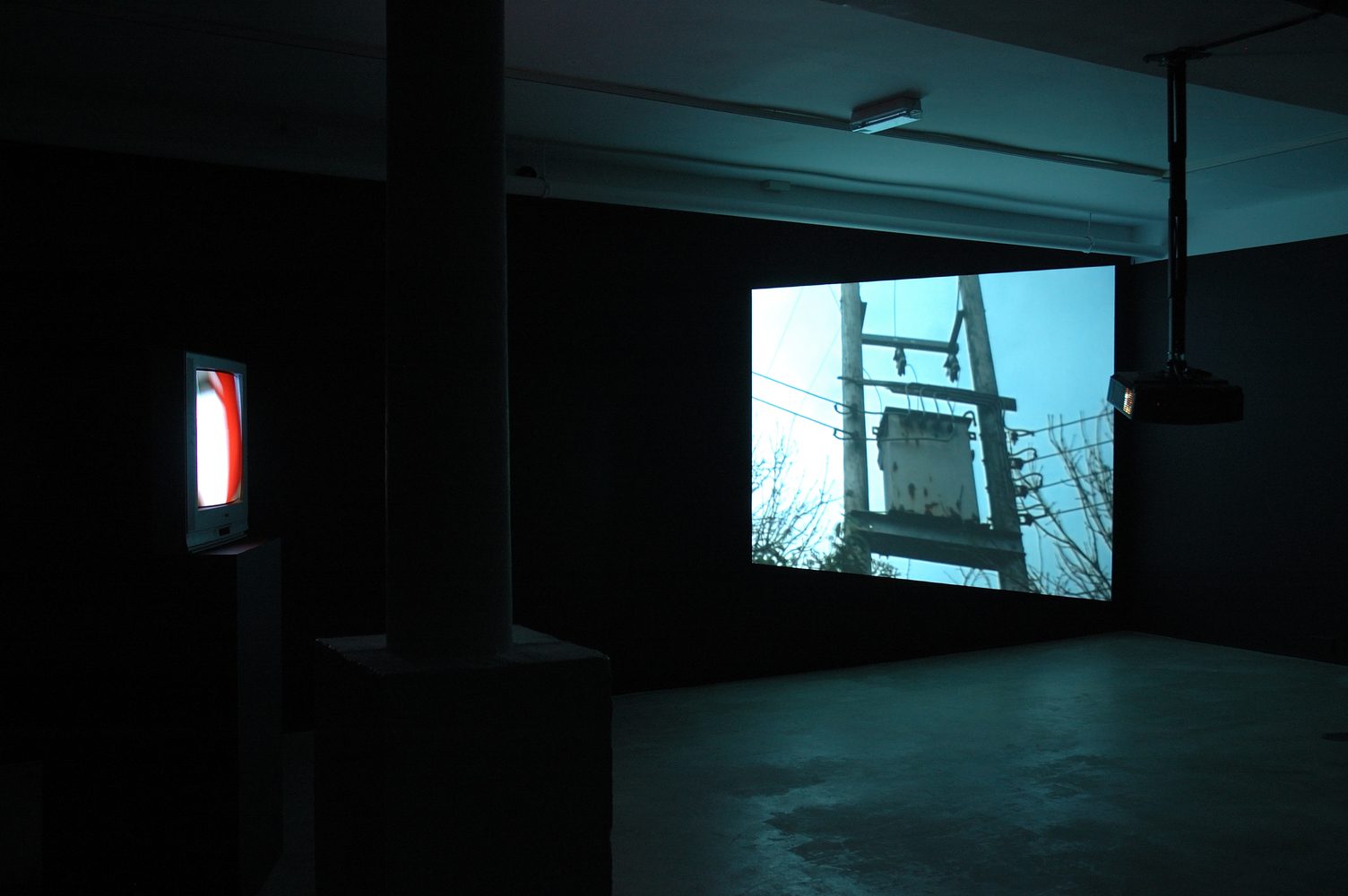 Install photo of Daniel Jewesbury at Void Gallery