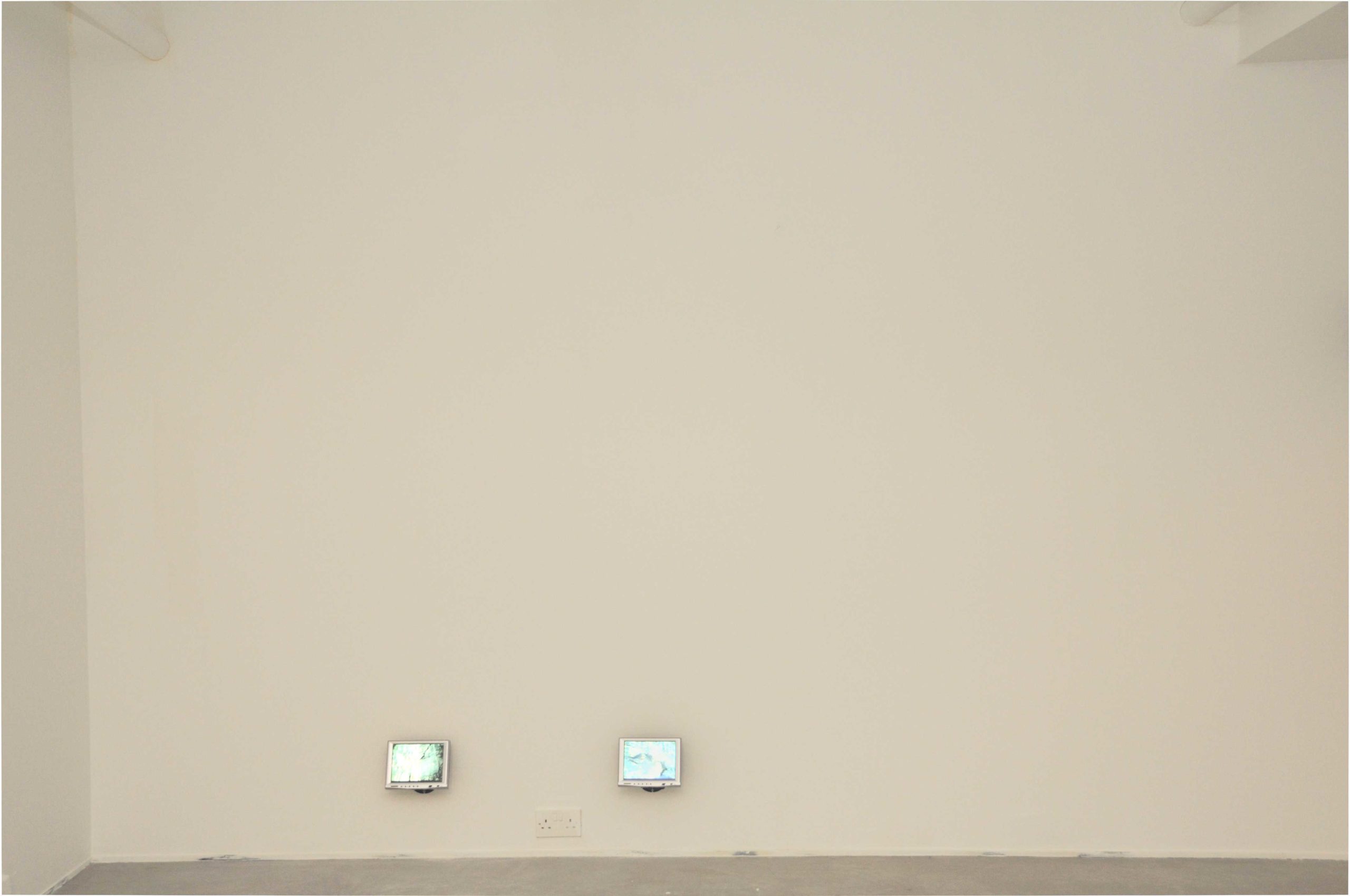 Install photos of Dan Shipsides at Void Gallery