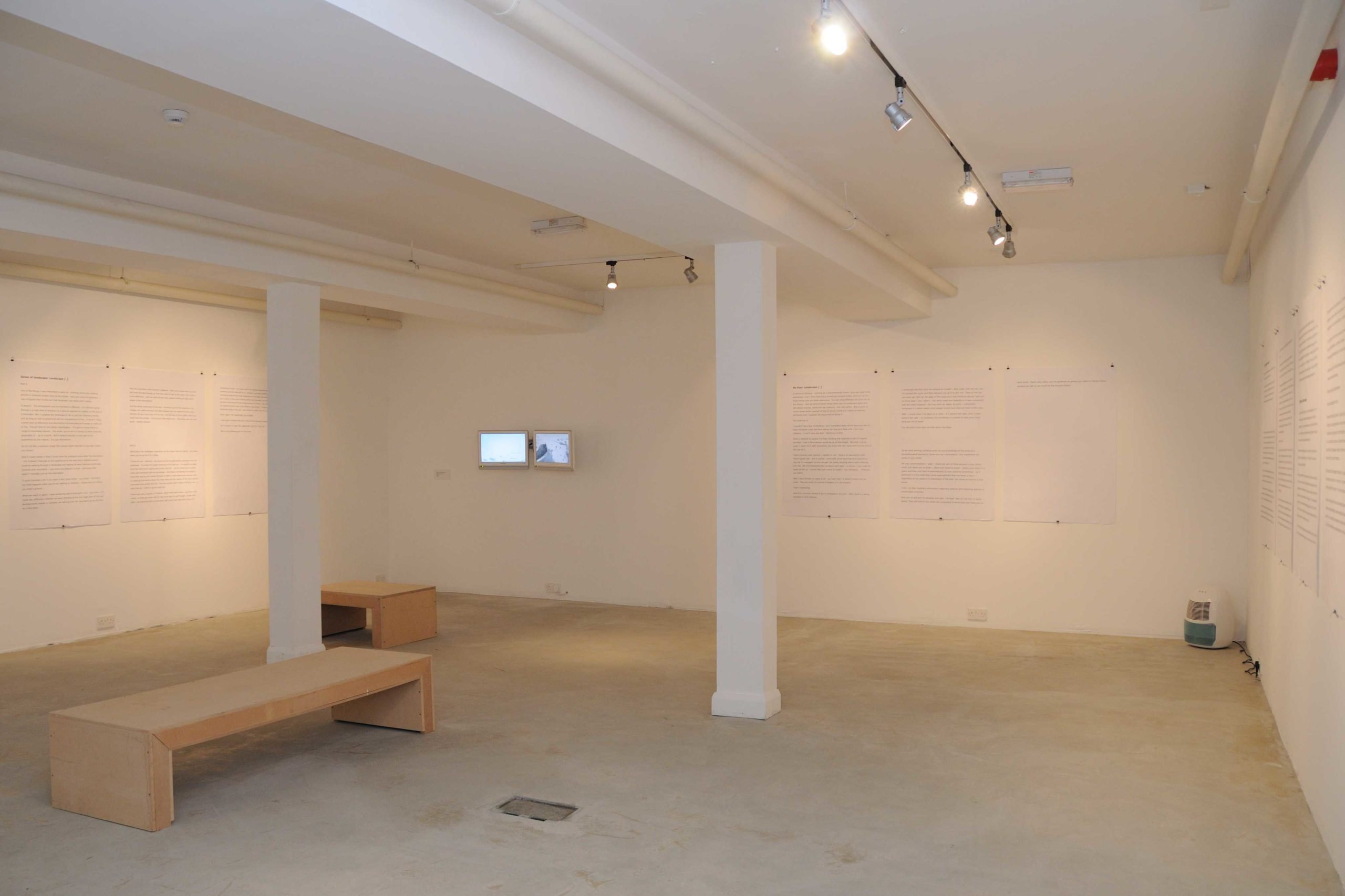 Install photos of Dan Shipsides at Void Gallery
