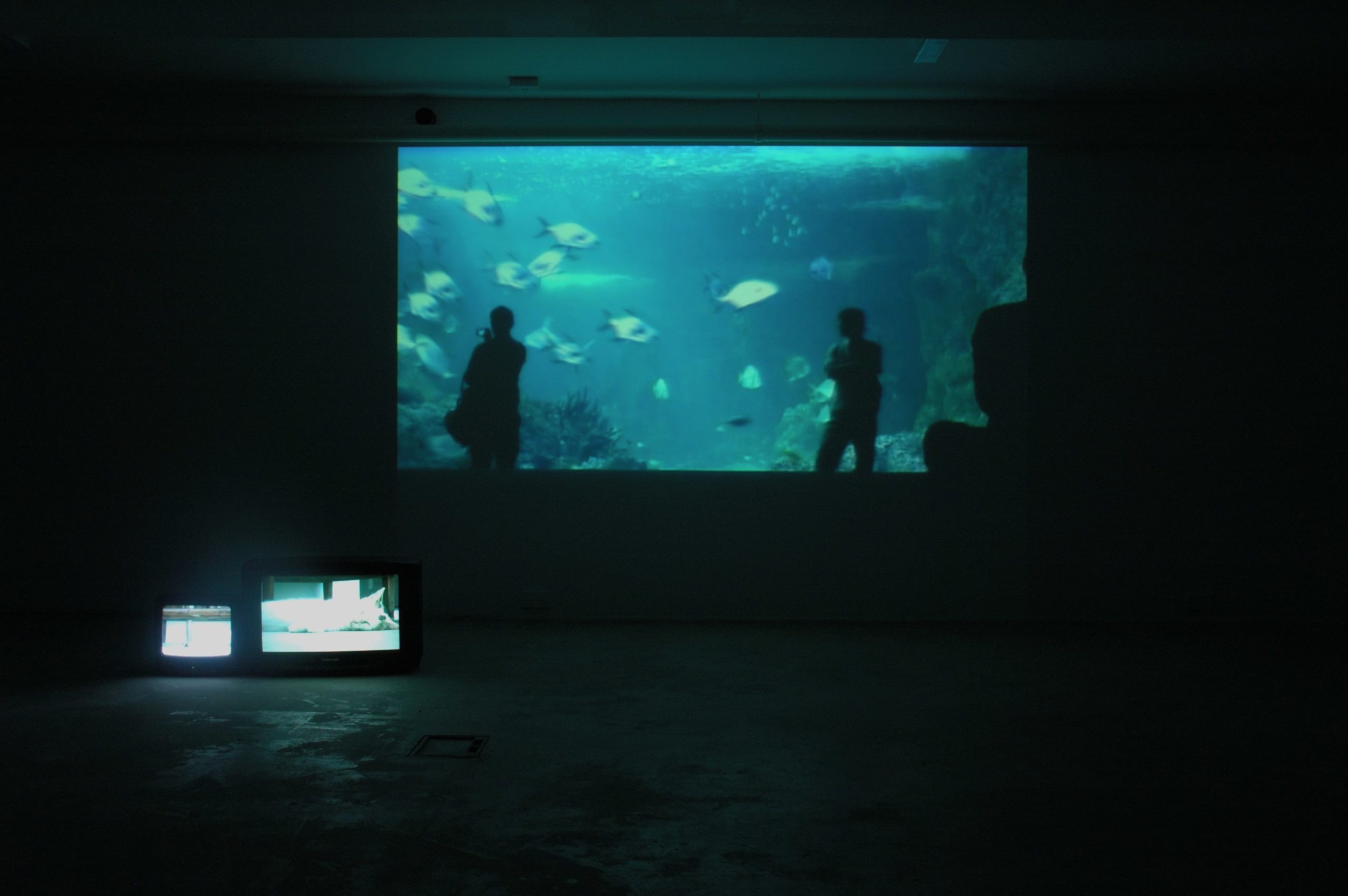 Installation image of Finola Jones exhibition at Void Gallery