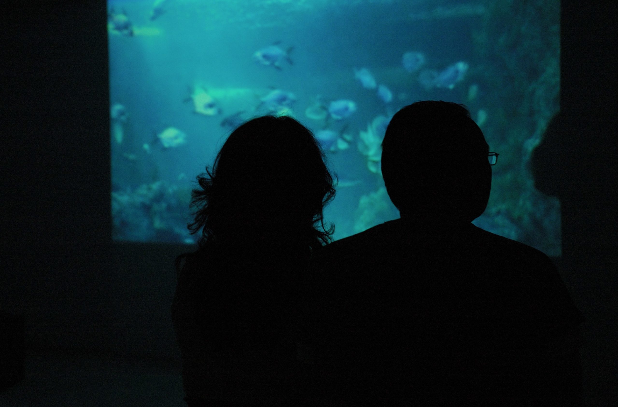 Installation image of Finola Jones exhibition at Void Gallery