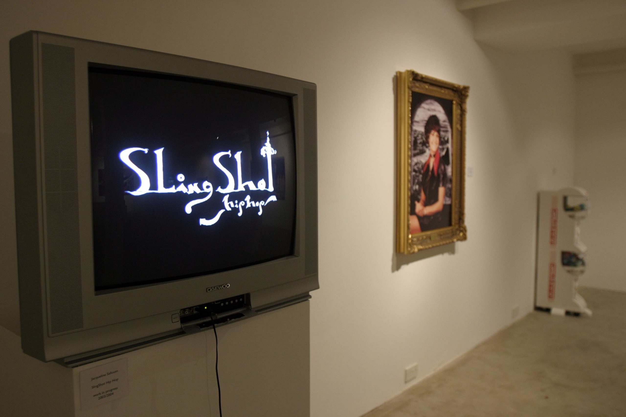 Jacqueline Salloum install image at Void Gallery