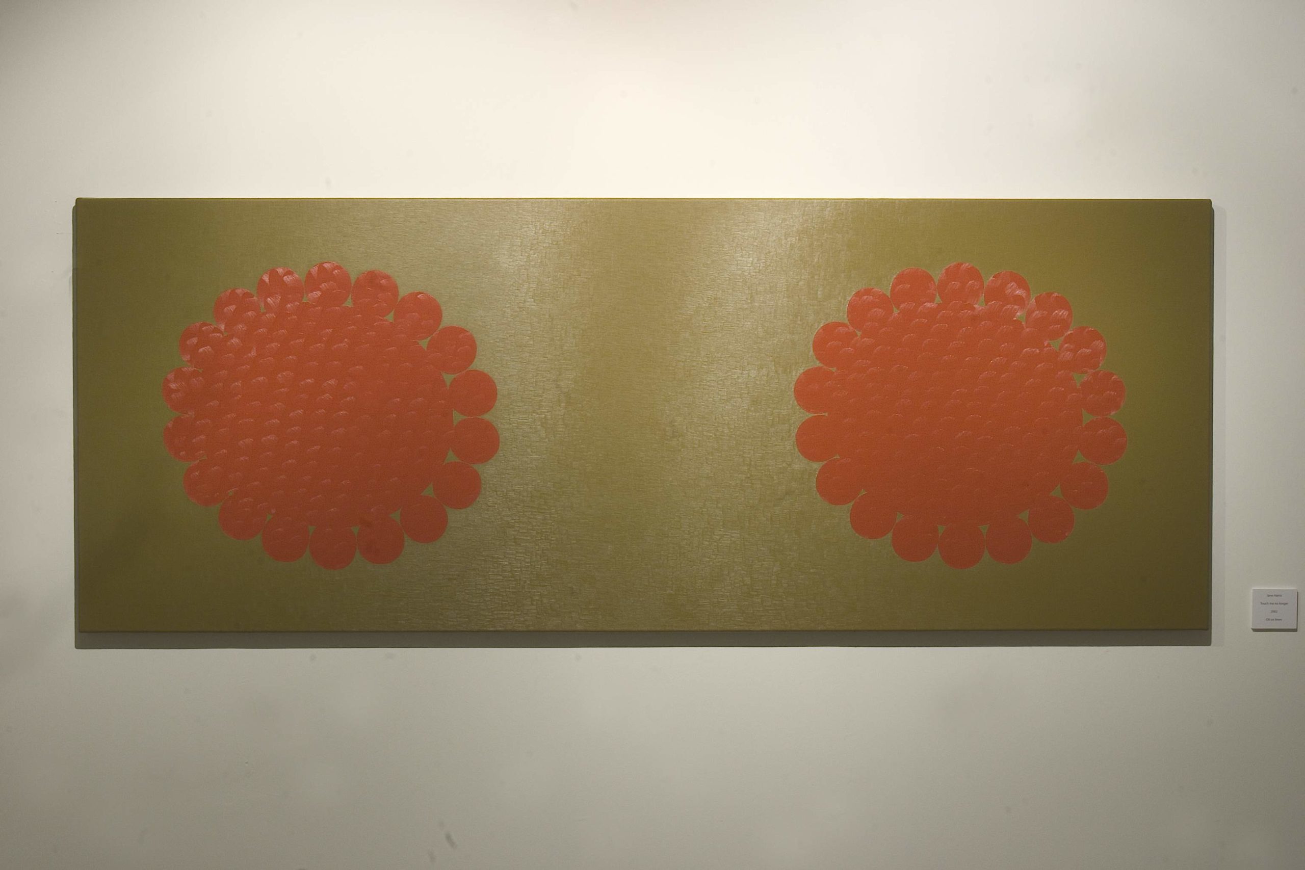 Jane Harris' install image at Void Gallery