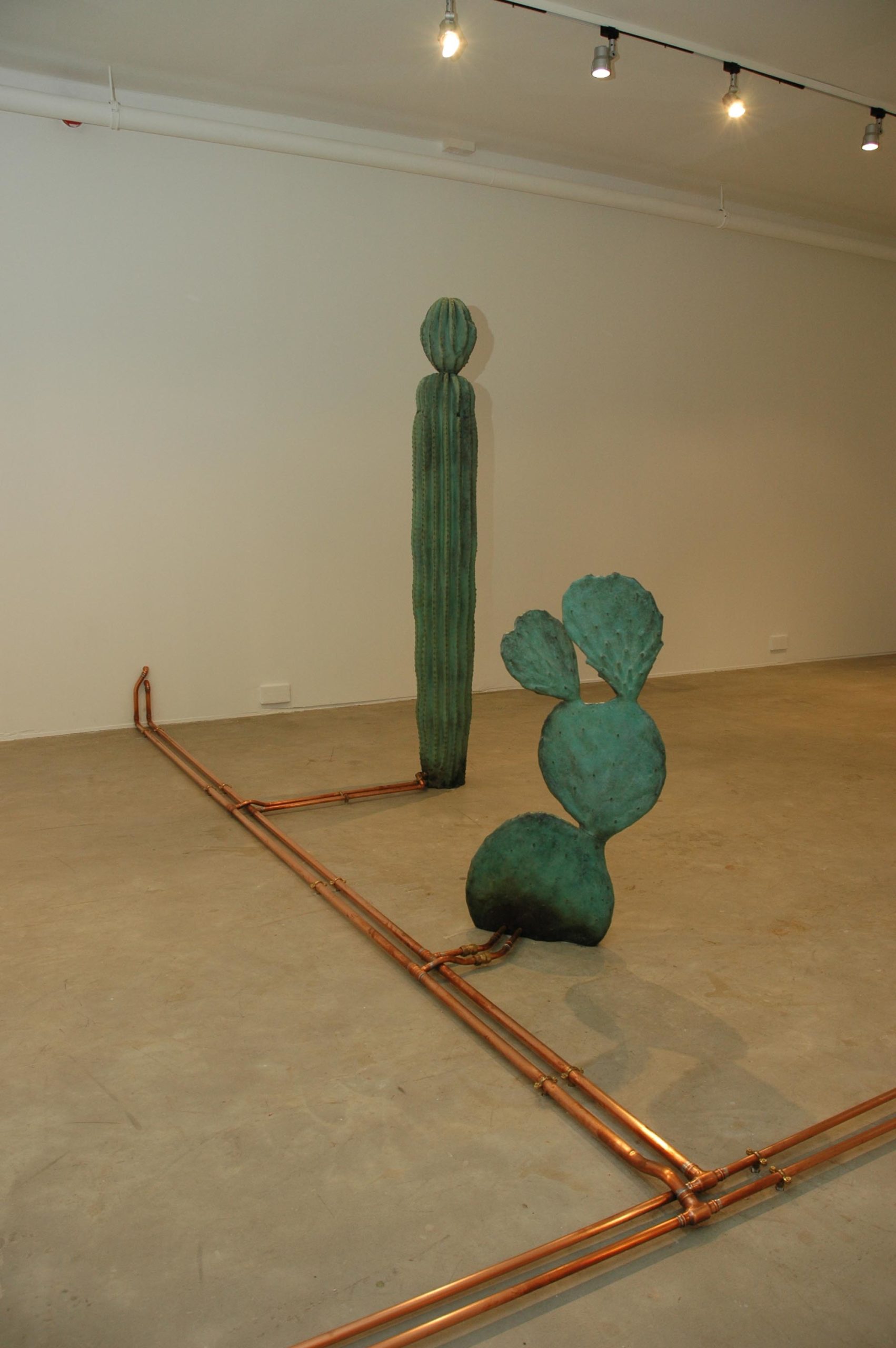 Simon Starling installation image at Void Gallery