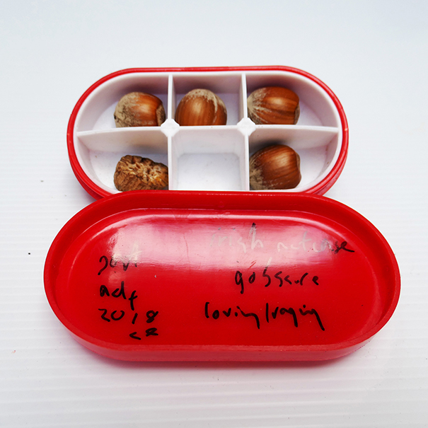 a red peanut container with five peanuts inside on a white background