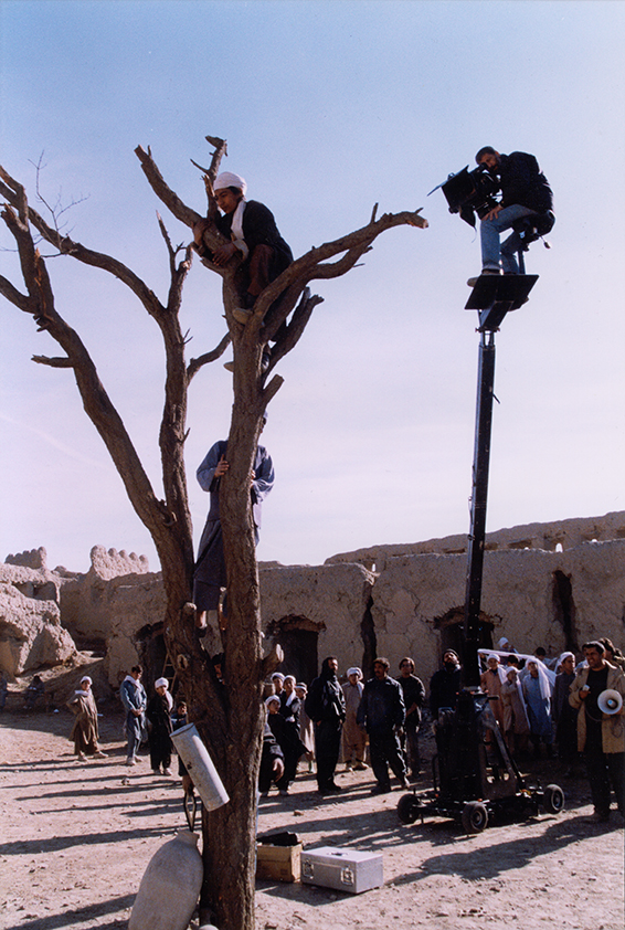 to a person in a bare tree. a group of people at the foot of the tree.