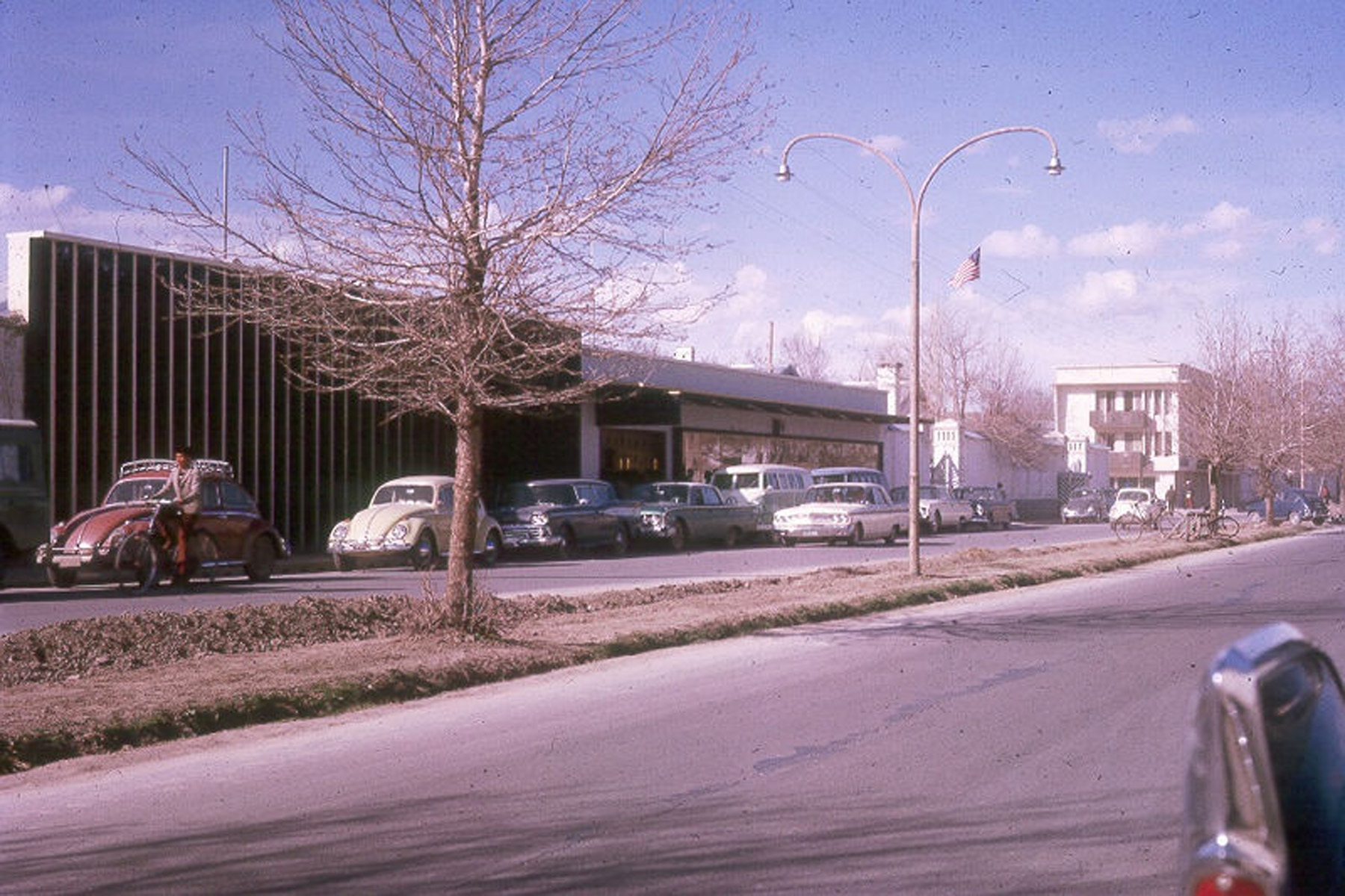 vintage photo of a street with parked cars, trees, meadows and buildings